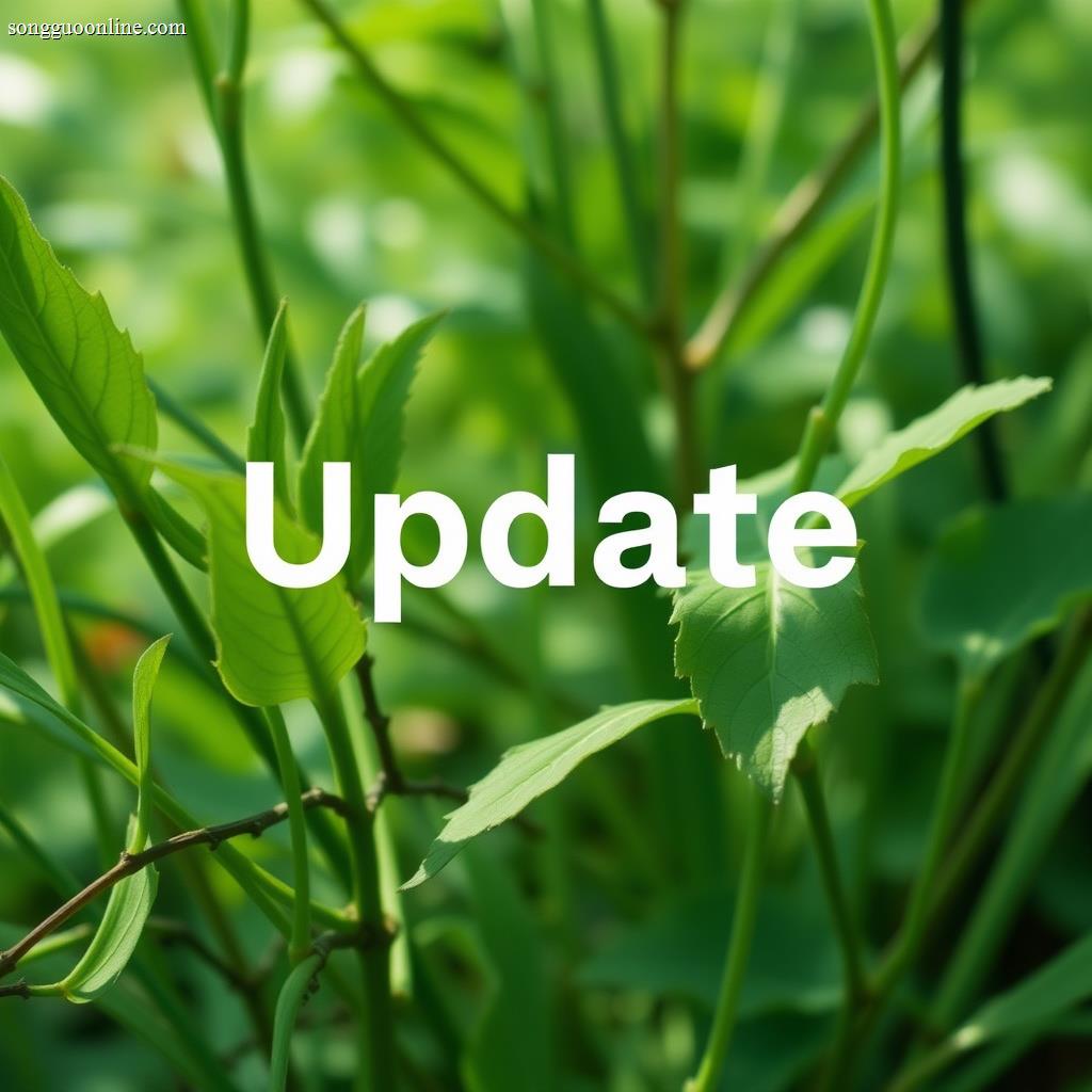 Update 2