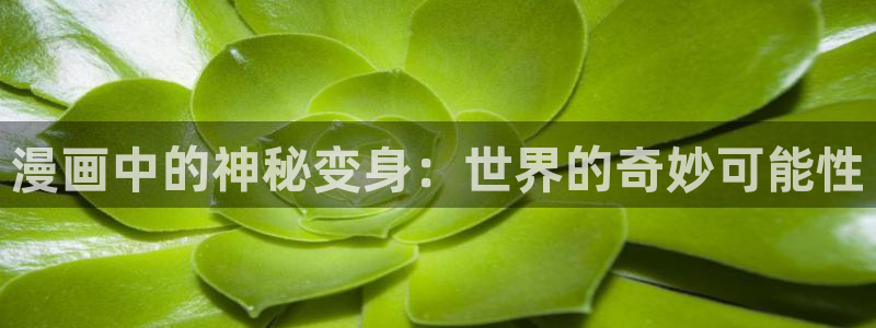 韓國漫畫與岳母同屋