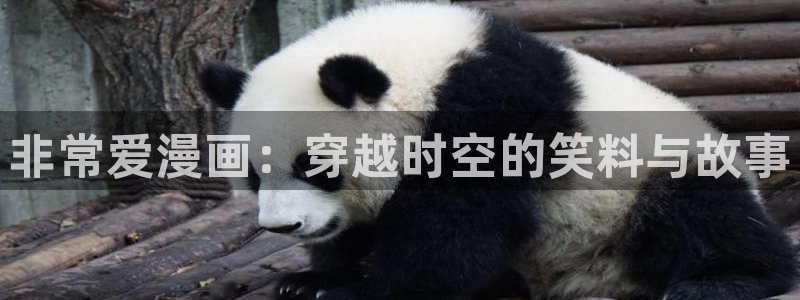 韓國漫畫網站入口免費看