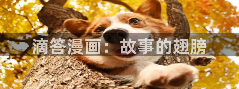 免費韓國漫畫網(wǎng)站觀看